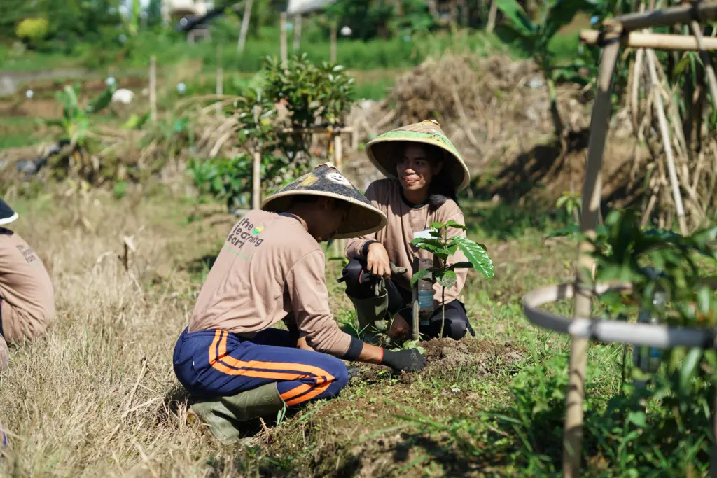 Pengantar Pertanian Organik