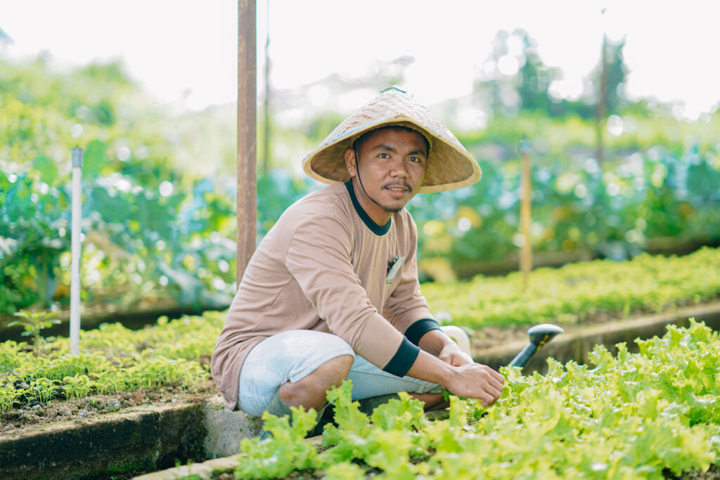 Rotasi dan Pemeliharaan Tanaman