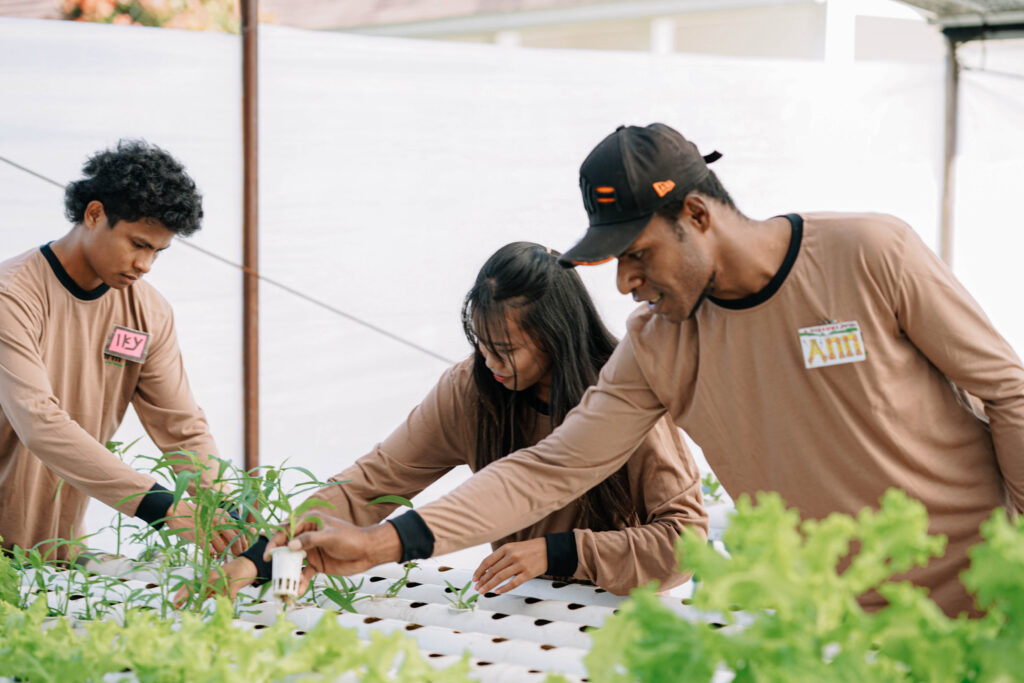 Urban Farming